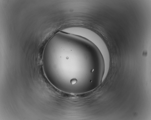 X0000113220411200909241453