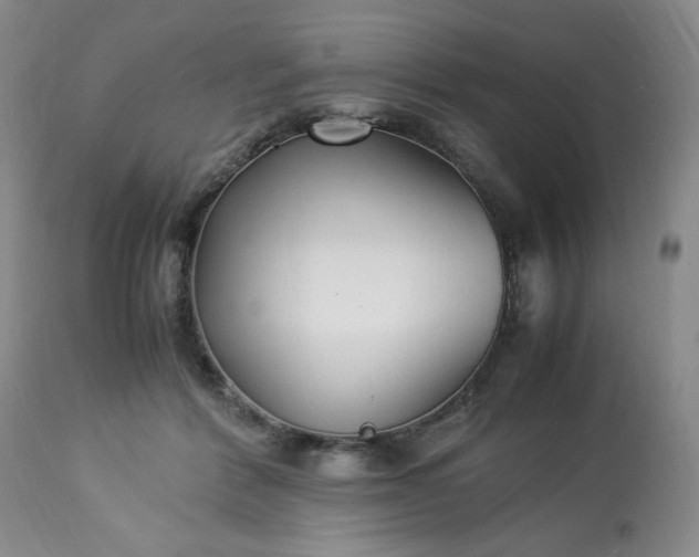 X0000113220412200909241453