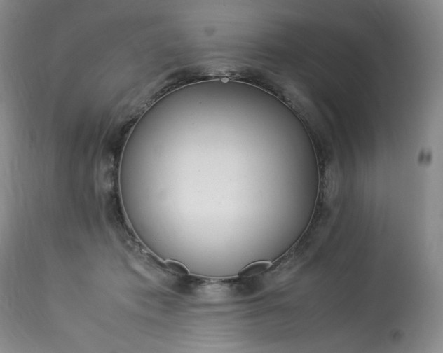 X0000113220413200909241453