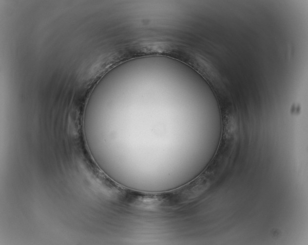 X0000113220414200909241453