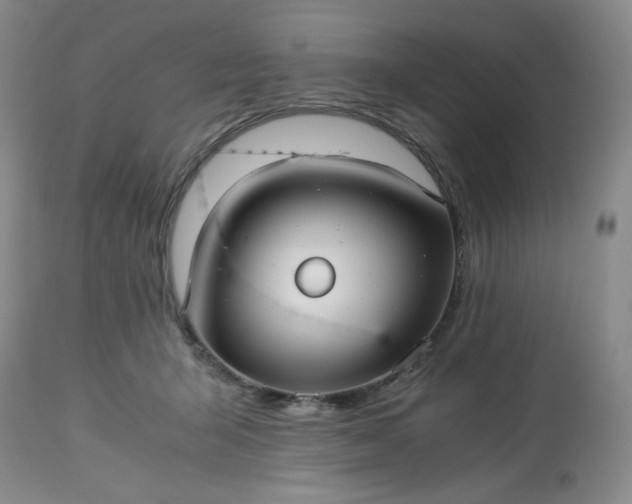 X0000113220415200909241453