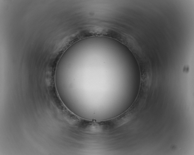 X0000113220416200909241453