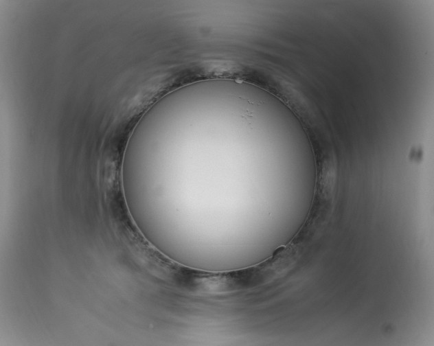 X0000113220417200909241453