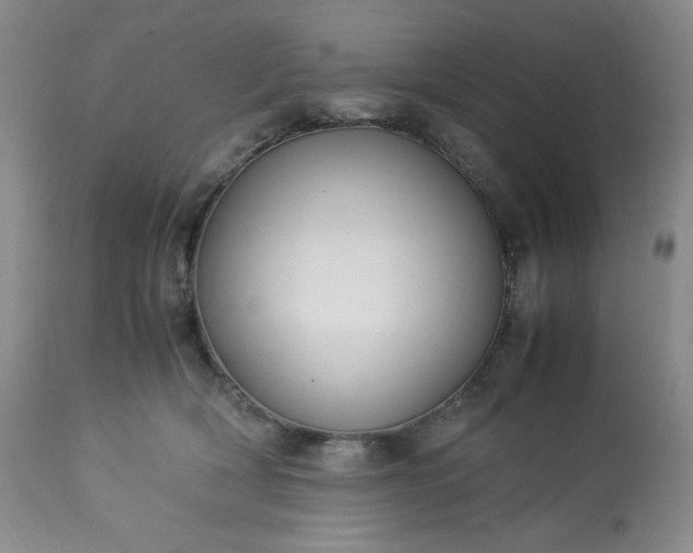 X0000113220418200909241453