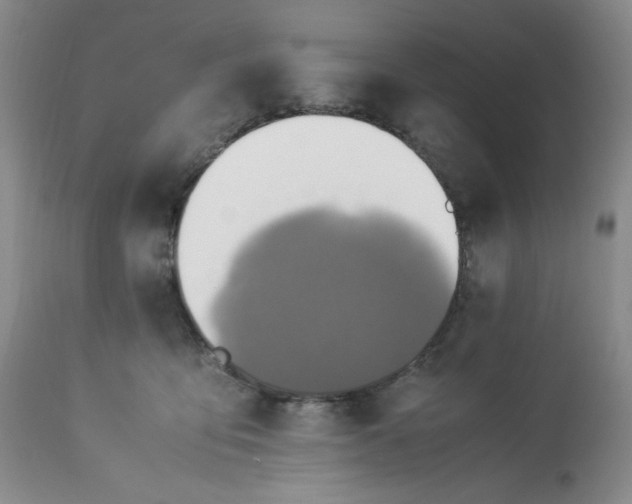 X0000113220419200909241453