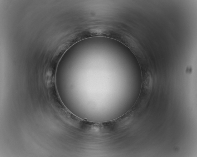 X0000113220420200909241453