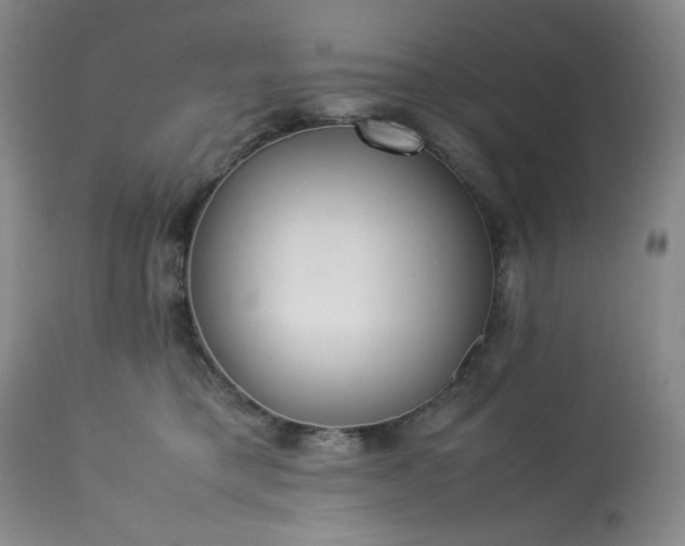 X0000113220421200909241453