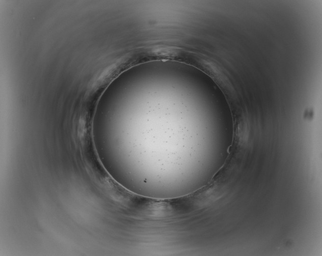 X0000113220424200909241453