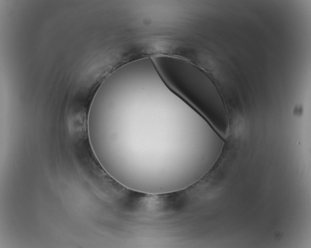 X0000113220425200909241452