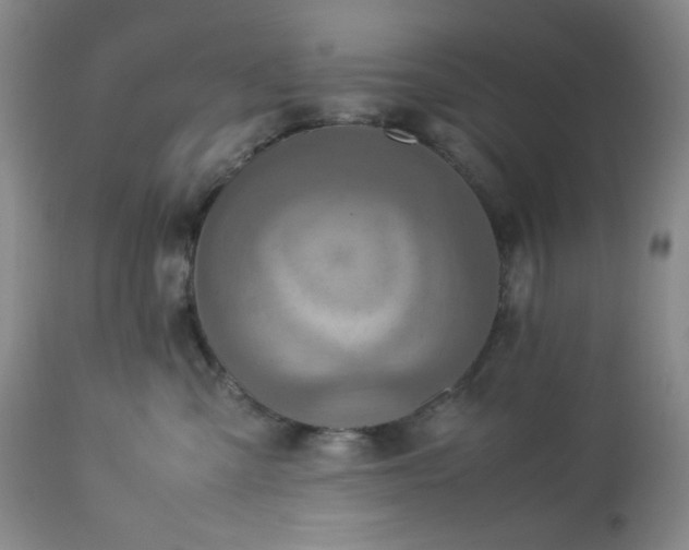 X0000113220427200909241452