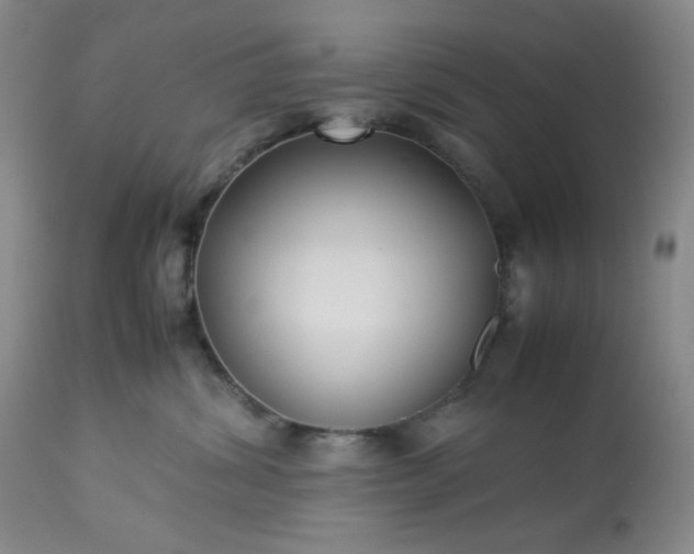 X0000113220428200909241452