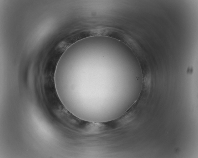 X0000113220429200909241452