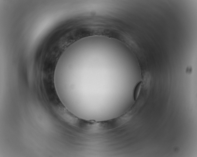 X0000113220430200909241452