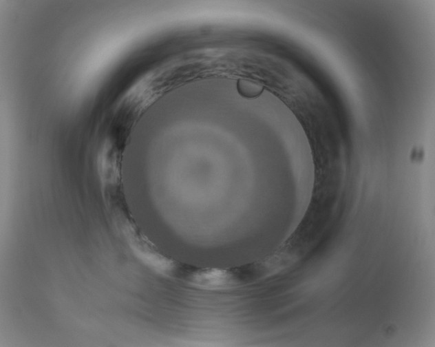 X0000113220431200909241452