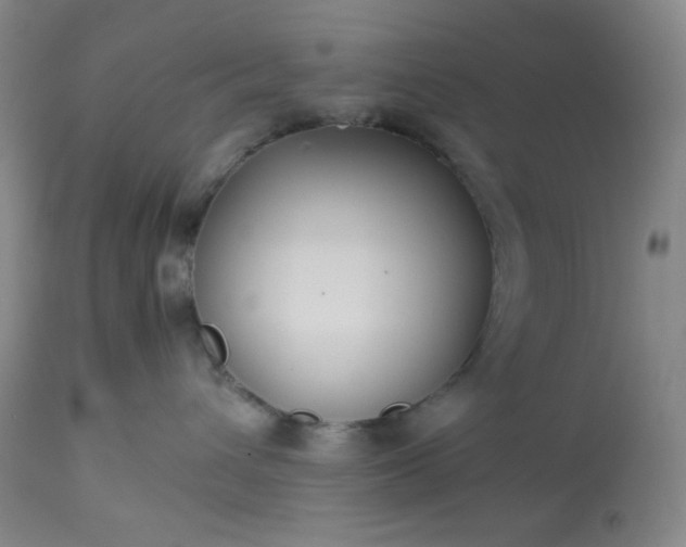 X0000113220432200909241452