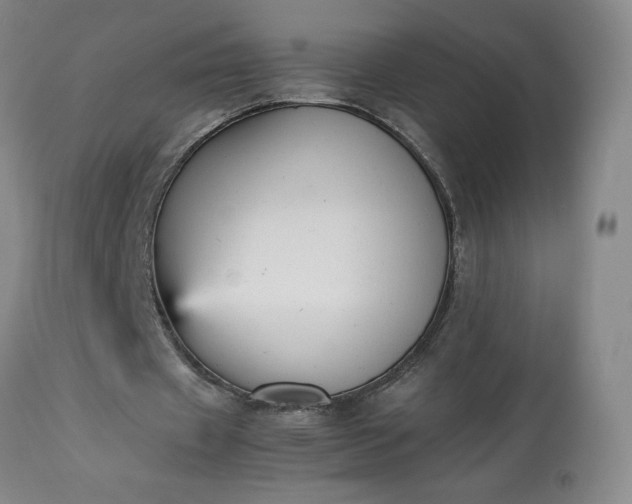 X0000113220433200909241452