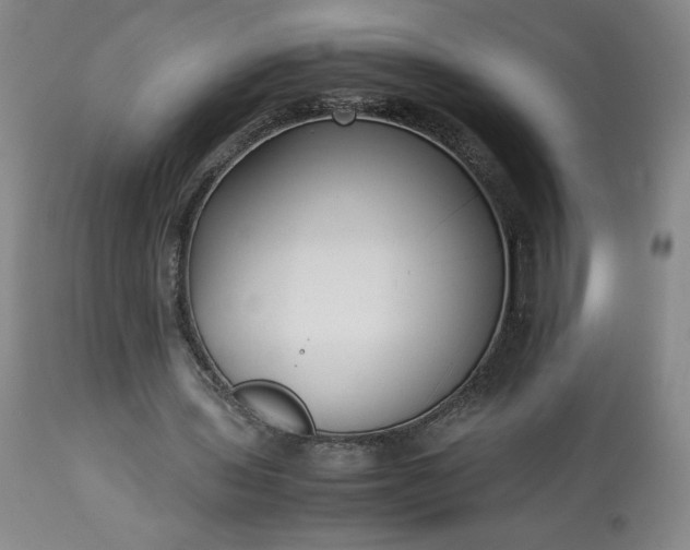 X0000113220435200909241452