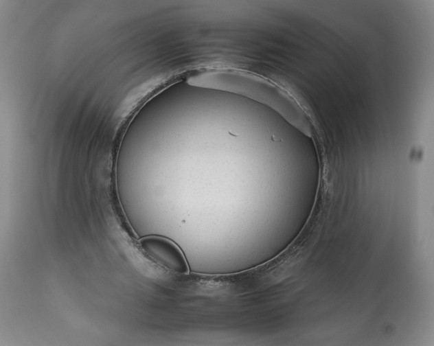 X0000113220437200909241452