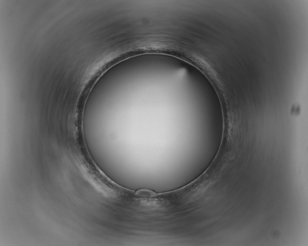 X0000113220439200909241452