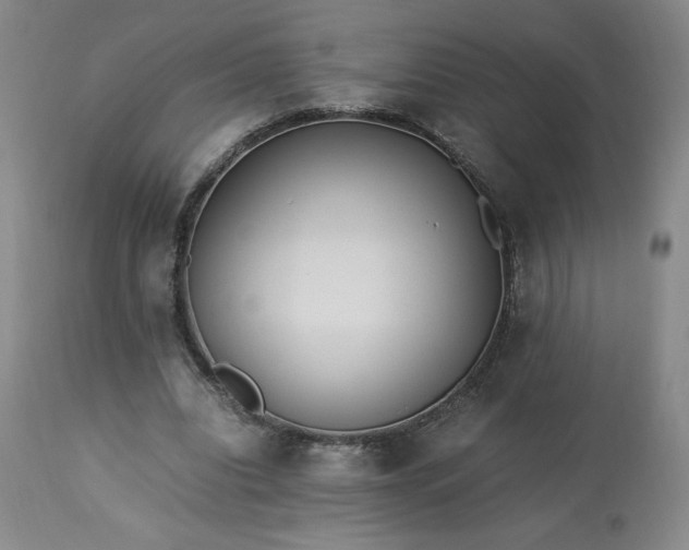 X0000113220440200909241452