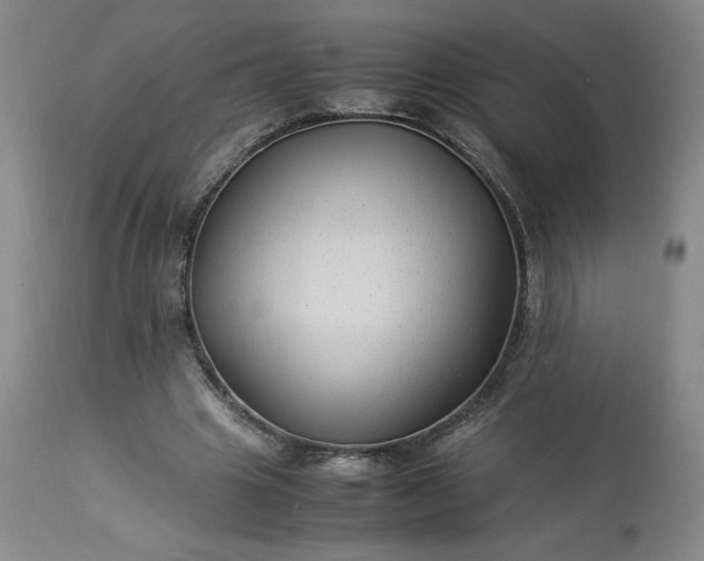 X0000113220441200909241452