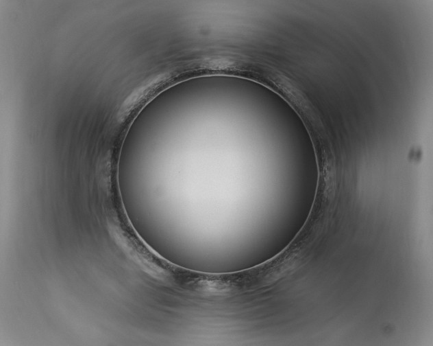 X0000113220442200909241452