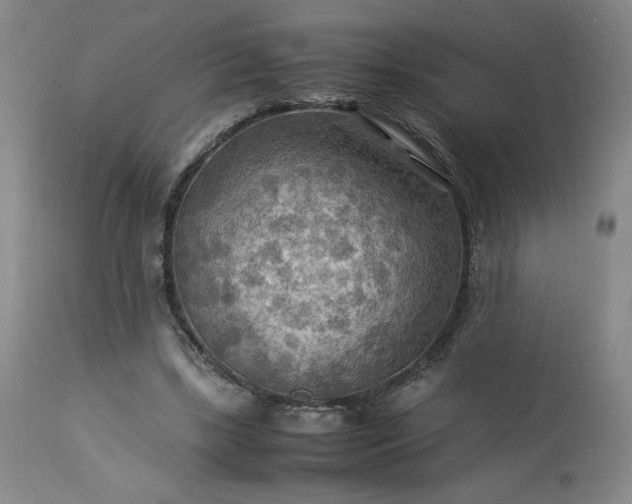 X0000113220443200909241452