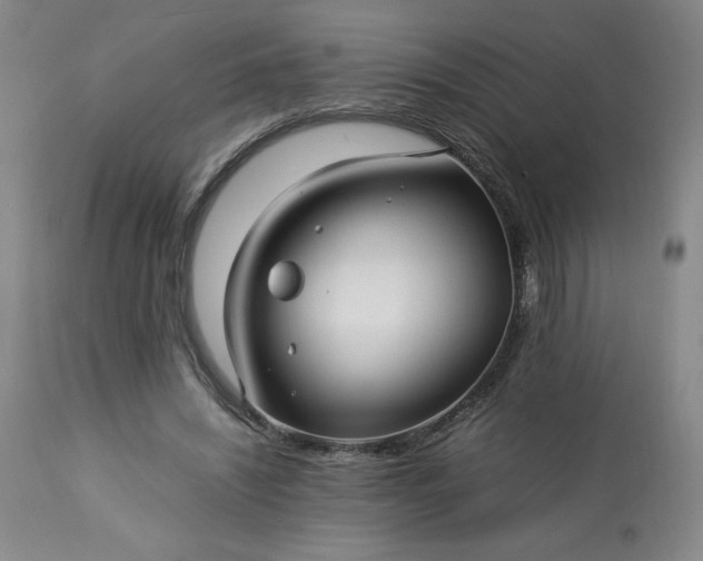 X0000113220444200909241452