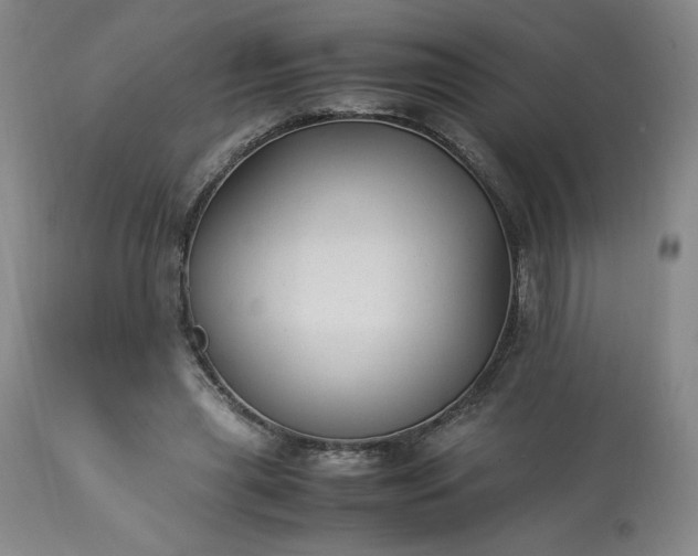 X0000113220445200909241452