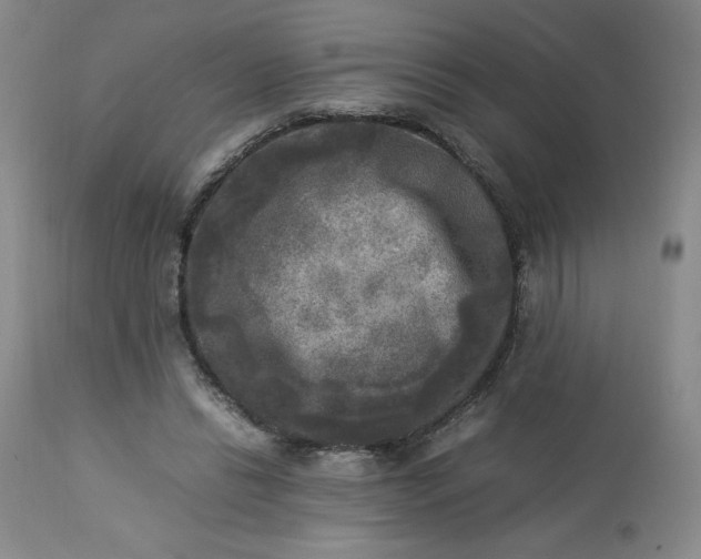 X0000113220446200909241452