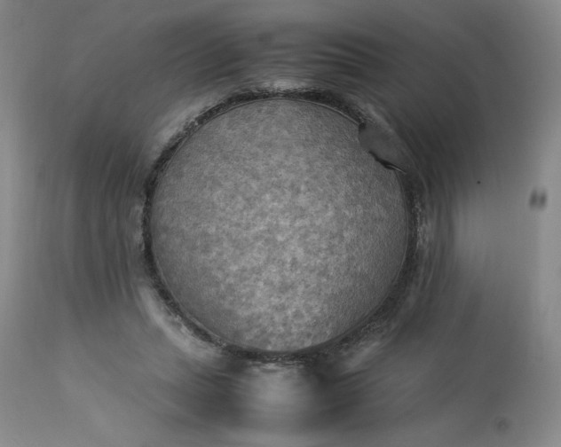 X0000113220447200909241452