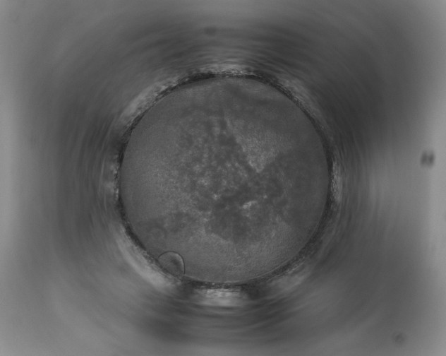 X0000113220449200909241452