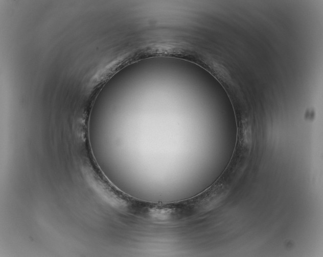 X0000113220450200909241452