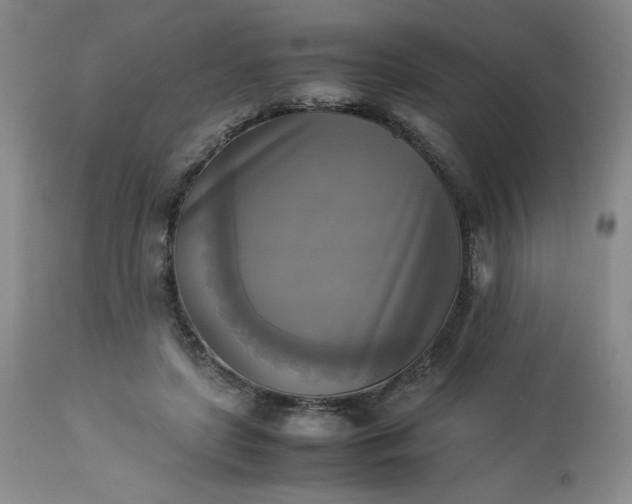 X0000113220451200909241452