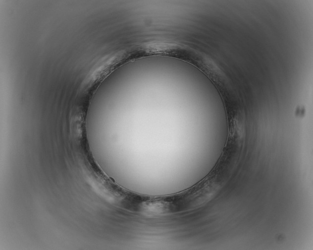 X0000113220452200909241452