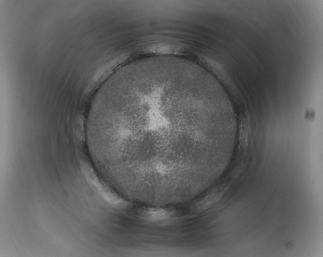 X0000113220453200909241452