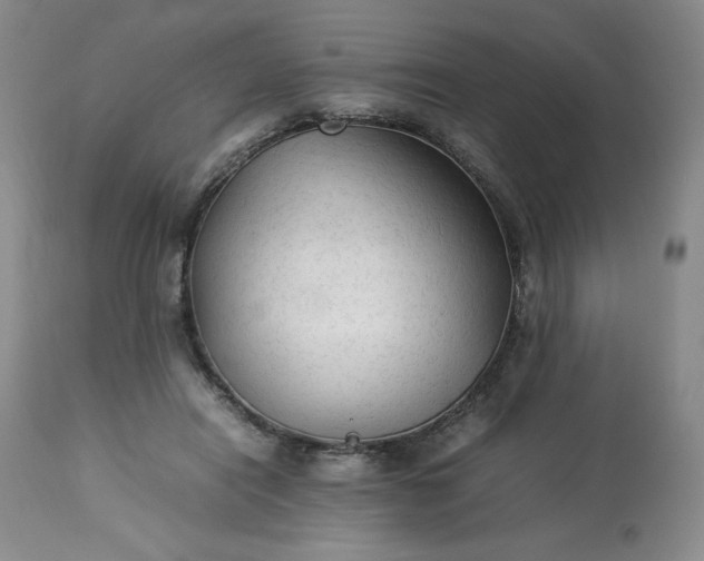 X0000113220454200909241452