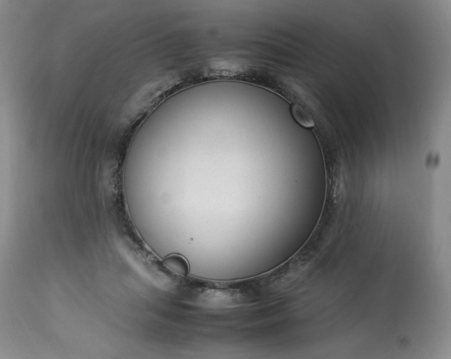 X0000113220455200909241452