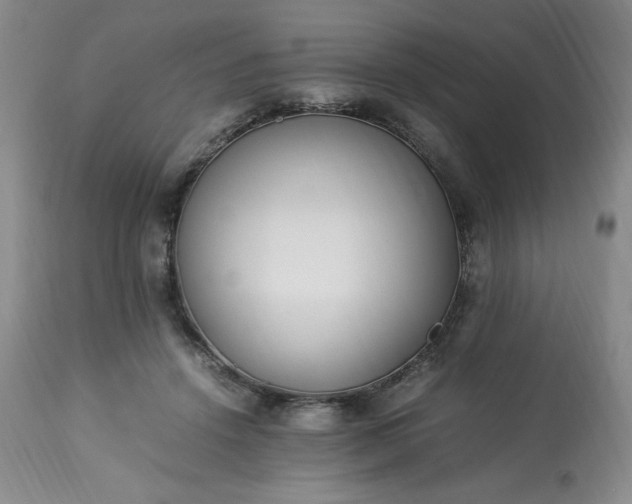 X0000113220456200909241452