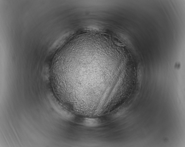 X0000113220457200909241452