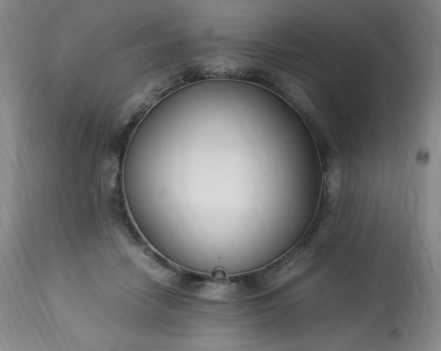 X0000113220458200909241452