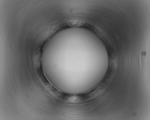 X0000113220460200909241452