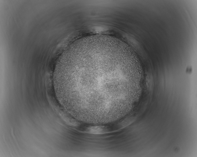 X0000113220461200909241452