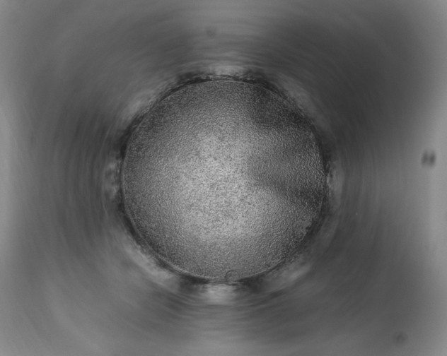 X0000113220462200909241452