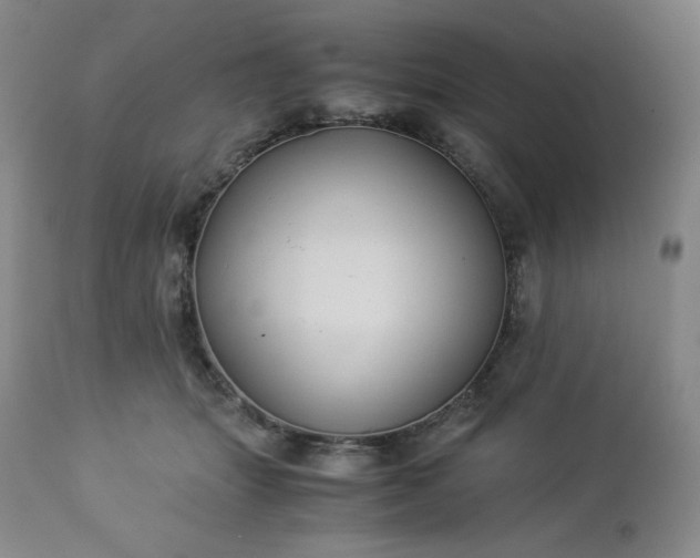 X0000113220463200909241452