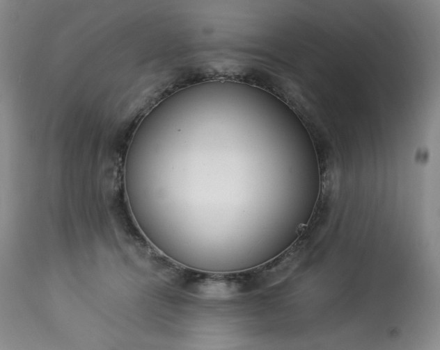 X0000113220464200909241452