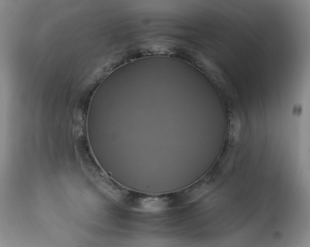 X0000113220465200909241452