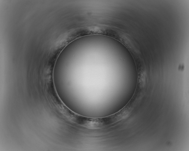 X0000113220466200909241452