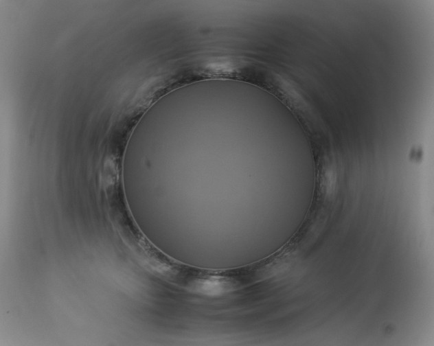 X0000113220467200909241452