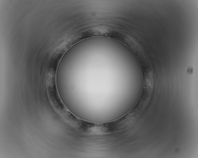 X0000113220468200909241452